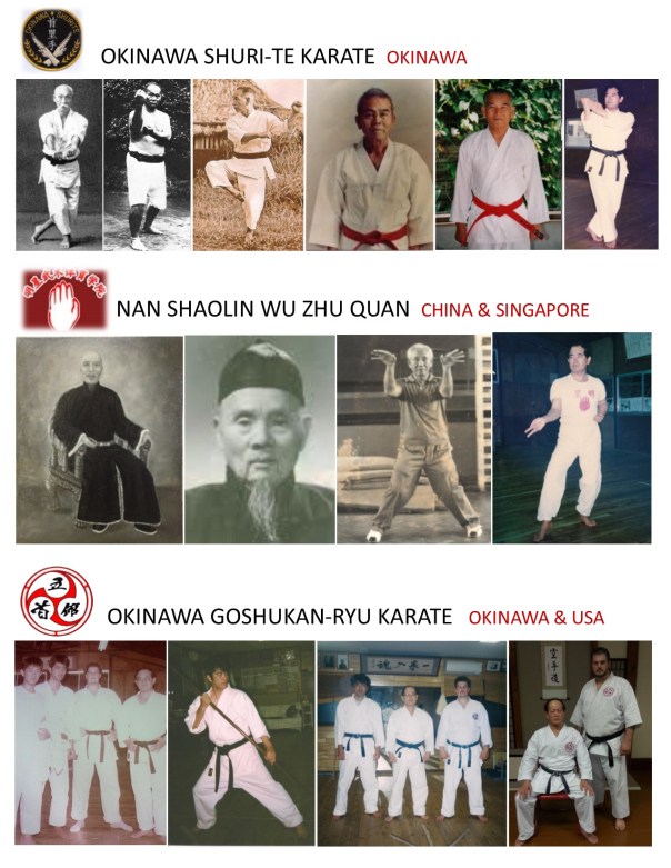 Goshukan_lineage_photochart